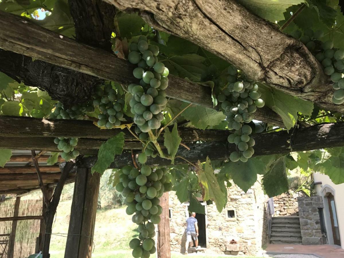 Agriturismo Da Nonna Argia Villa Massa e Cozzile Dış mekan fotoğraf